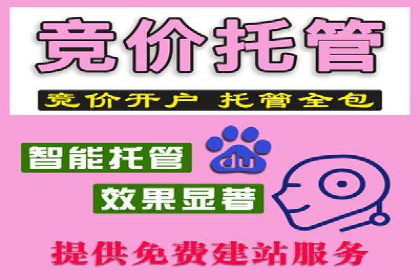 案例分析：百度竞价托管外包助力品牌崛起